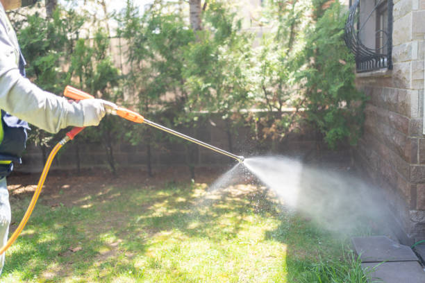Best Termite Control Services  in Palisades Park, NJ