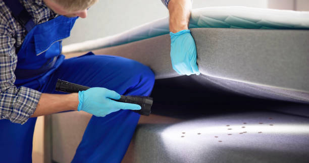 Best Cockroach Control Services  in Palisades Park, NJ